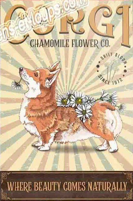 CORGI PLAQUE CORGI CHAMOBILE FLOWER CO. WHERE BEAUTY COMES NATURALLY