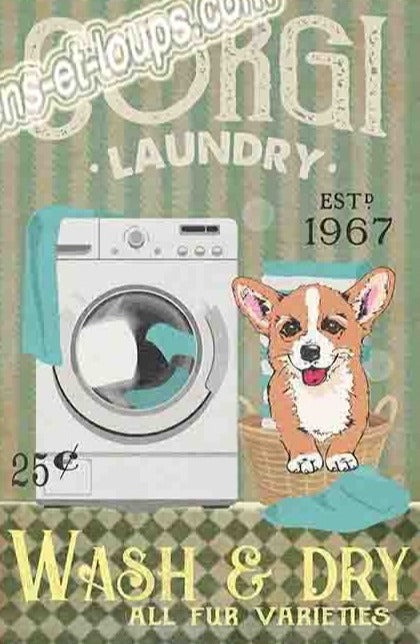 CORGI PLAQUE CORGI LAUNDRY WASH & DRY