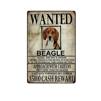 Plaque métal déco vintage 🐕‍🦺 BEAGLE N° 41 ✔