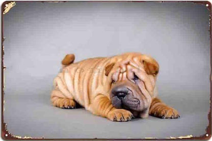 Plaque métal déco vintage 🐕‍🦺 SHAR PEI N° 15 ✔