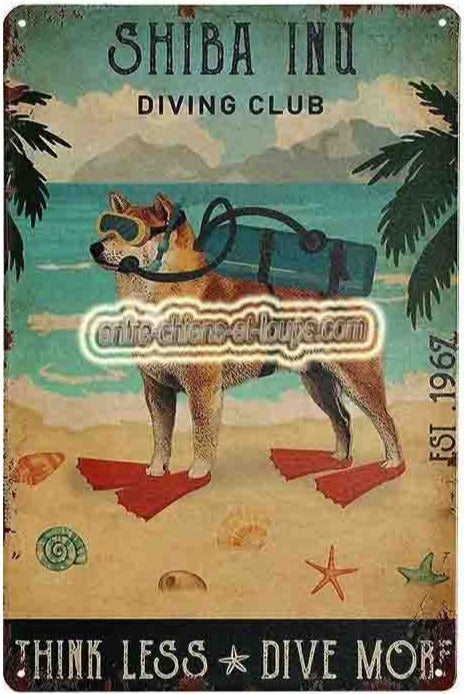 shiba inu plaque diving club