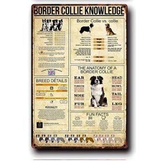 Plaque métal déco vintage 🐕  BORDER COLLIE N° 52 ✔