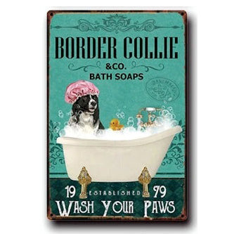 Plaque métal déco vintage 🐕  BORDER COLLIE N° 56 ✔