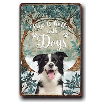 Plaque métal déco vintage 🐕  BORDER COLLIE N° 67 ✔