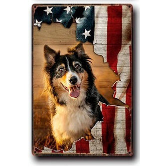 Plaque métal déco vintage 🐕  BORDER COLLIE N° 66 ✔