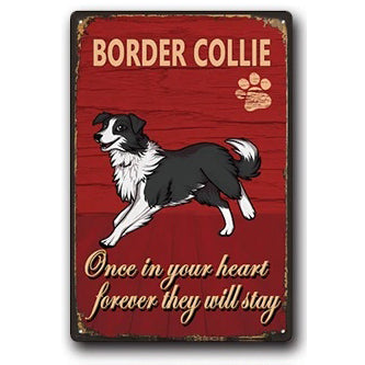 Plaque métal déco vintage 🐕  BORDER COLLIE N° 44 ✔