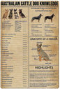 PLAQUE KNOWLEDGE AUSTRALIAN CATTLE DOG