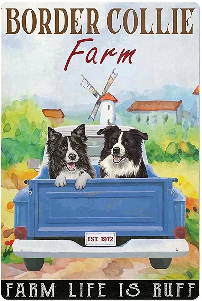 BORDER COLLIE PLAQUE FARM