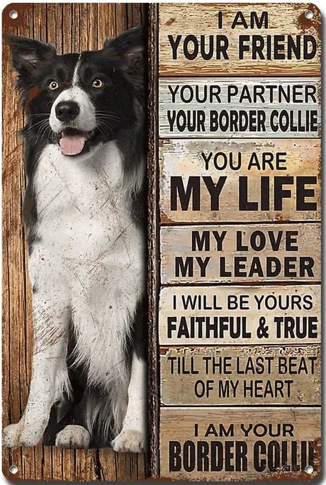 BORDER COLLIE PLAQUE I AM YOUR FRIEND