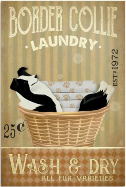 BORDER COLLIE PLAQUE LAUNDRY