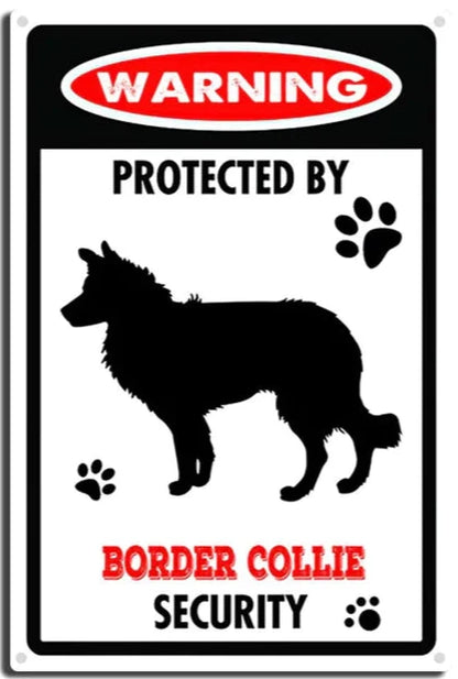 BORDER COLLIE PLAQUE PROTECTED BY