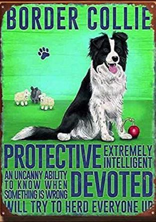 BORDER COLLIE PLAQUE PROTECTIVE DEVOTED