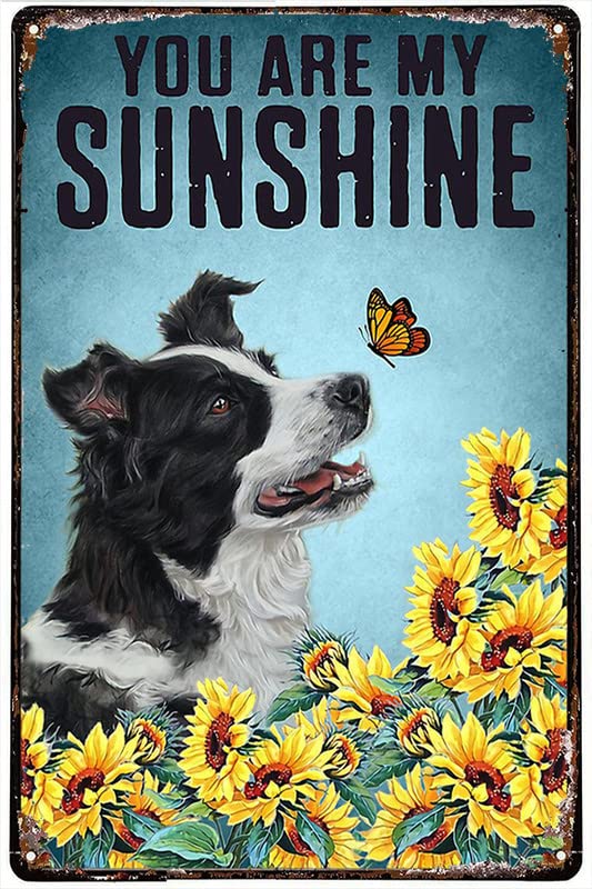 BORDER COLLIE PLAQUE YOU ARE MY SUNSHINE