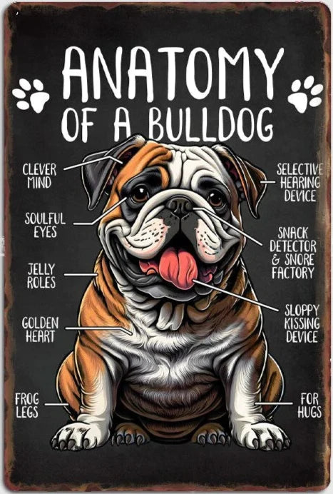 BULLDOG PLAQUE ANATOMY OF A BULLDOG