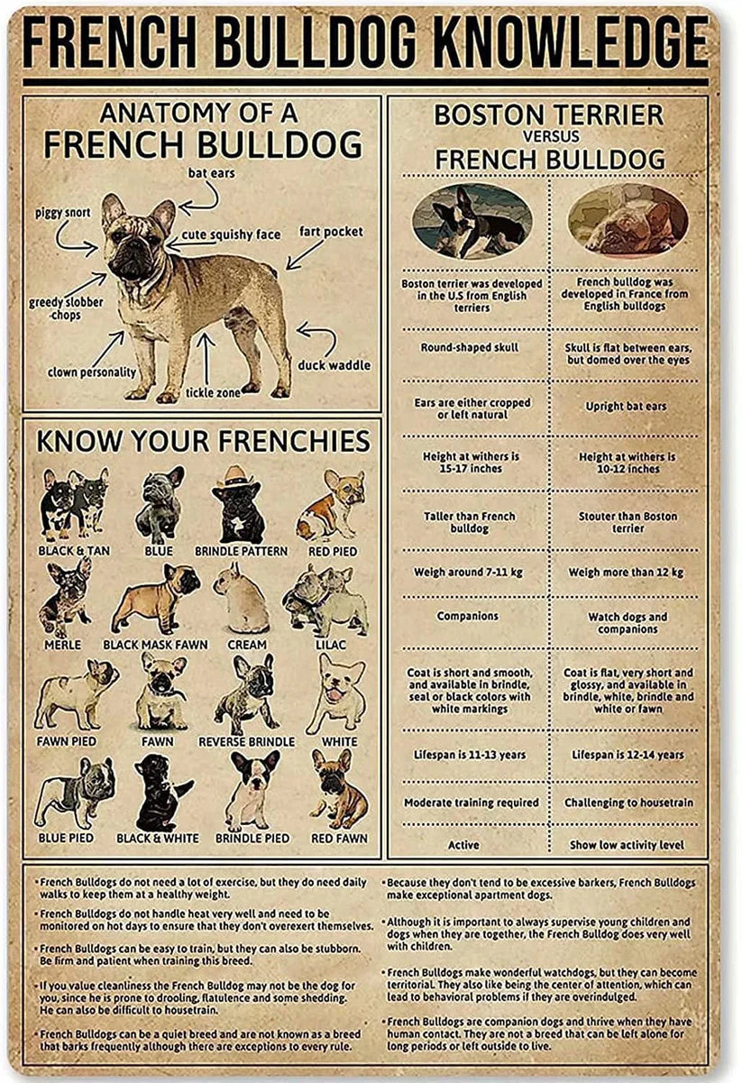 BULLDOG PLAQUE FRENCH BULLDOG KNOWLEDGE