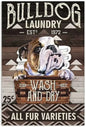 BULLDOG PLAQUE LAUNDRY