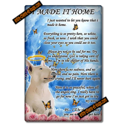 BULL TERRIER PLAQUE I MADE IT HOME I JUST WANTED TO LET YOU KNOW THAT I MADE HOME