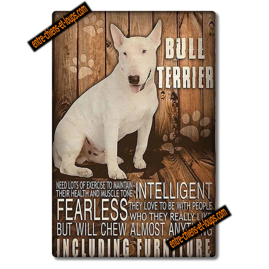 BULL TERRIER PLAQUE NEED LOTS OF EXERCISE TO MAINTAIN THEIR HEALTH AND MUSCLE TONE....