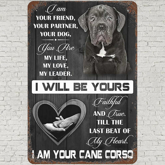 CANE CORSO I AM YOUR FRIEND, YOUR PARTNER, YOUR DOG?...