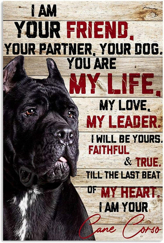 CANE CORSO I AM YOUR FRIEND