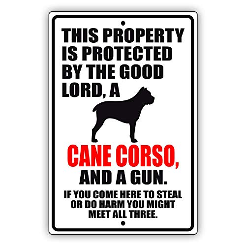CANE CORSO THIS PROPERTY IS PROTECTED....
