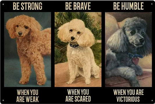 CANICHE BE STRONG WHEN YOU ARE WEAK BE BRAVE WHEN YOU ARE SCARED BE HUMBLE WHEN YPOU ARE VICTORIOUS