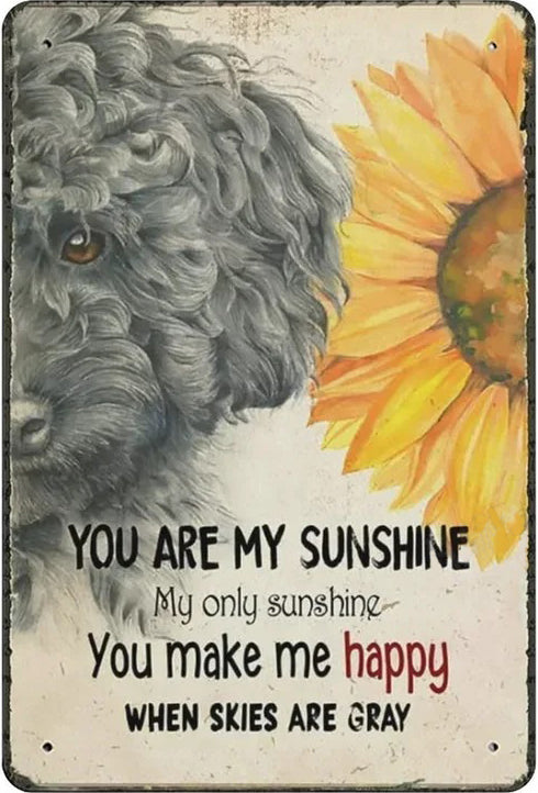 CANICHE PLAQUE YOU ARE MY SUNSHINE MY ONLY SUNSHINE