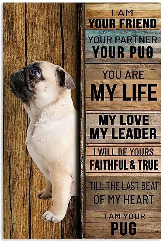 CARLIN PLAQUE I AM YOUR FRIEND YOUR PARTNER YOUR PUG