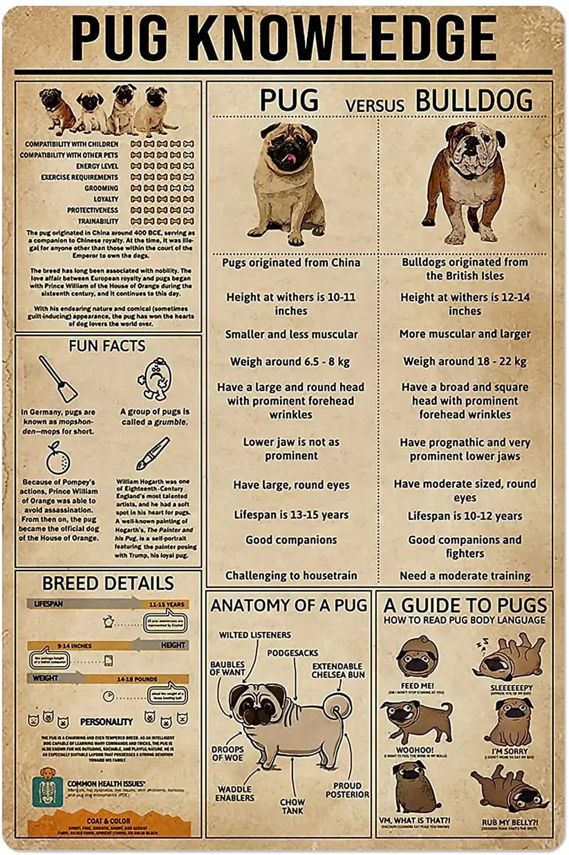 CARLIN PLAQUE PUG KNOWLEDGE VS BULLDOG