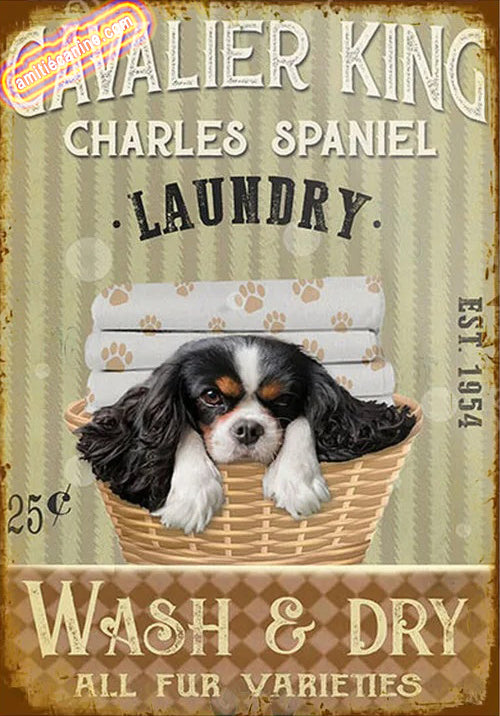 CAVALIER KING CHARLES PLAQUE LAUNDRY CO.... 