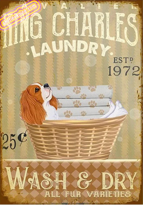 CAVALIER KING CHARLES PLAQUE LAUNDRY CO... 
