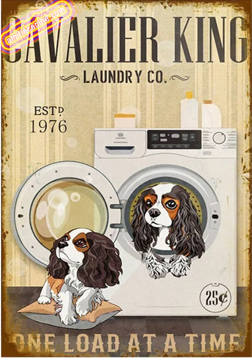 CAVALIER KING CHARLES PLAQUE LAUNDRY CO.... 
