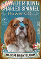 CAVALIER KING CHARLES SPANIEL PLAQUE FLOWER CO. bloom baby bloom