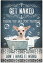 CHIHUAHUA PLAQUE GET NAKED UNLESS YOU ARE JUST VISITING DON'T MAKE IT WEIRD