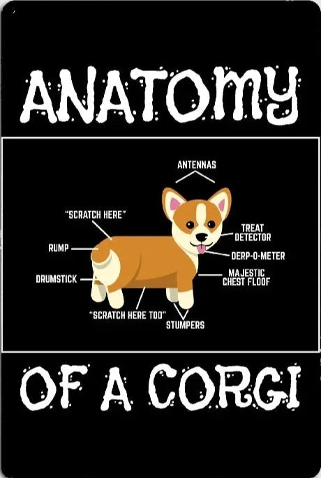 CORGI PLAQUE ANATOMY OF A CORGI.