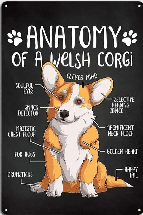 CORGI PLAQUE ANATOMY OF WELSH CORGI..