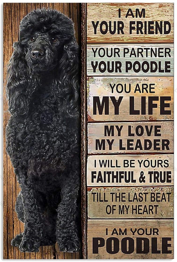 CANICHE PLAQUE I AM YOUR FRIEND YOUR PARTNER YOUR POODLE