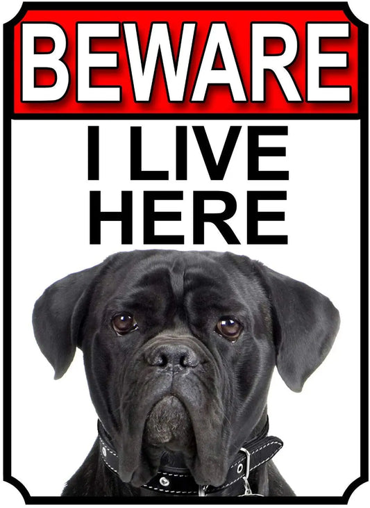 CANE CORSO  Plaque métal BEWARE I LIVE HERE