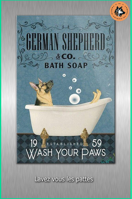 BERGER ALLEMAND WASH TOUR PAWS