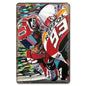 PLAQUE MOTO GP N°13