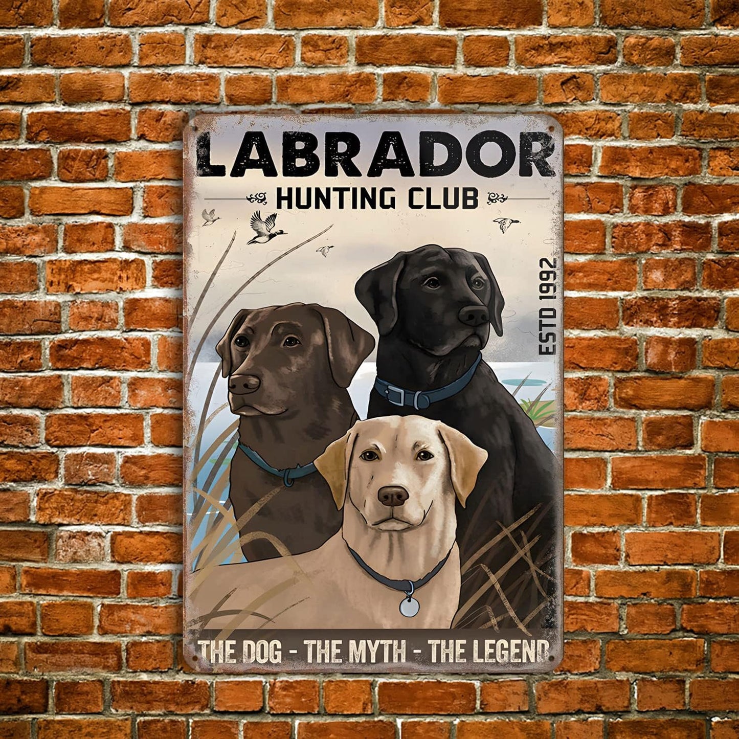 Plaque métal déco vintage 🐕 LABRADOR N° 6 ✔