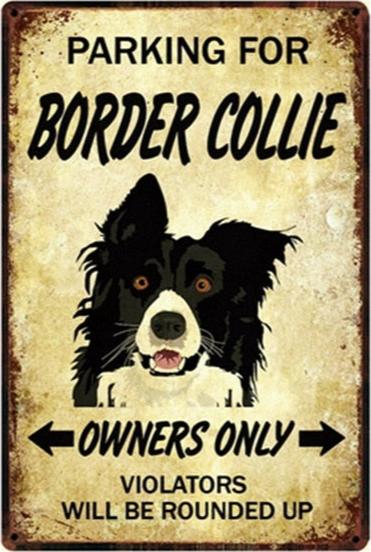 Plaque métal déco vintage 🐕  BORDER COLLIE N° 2 ✔