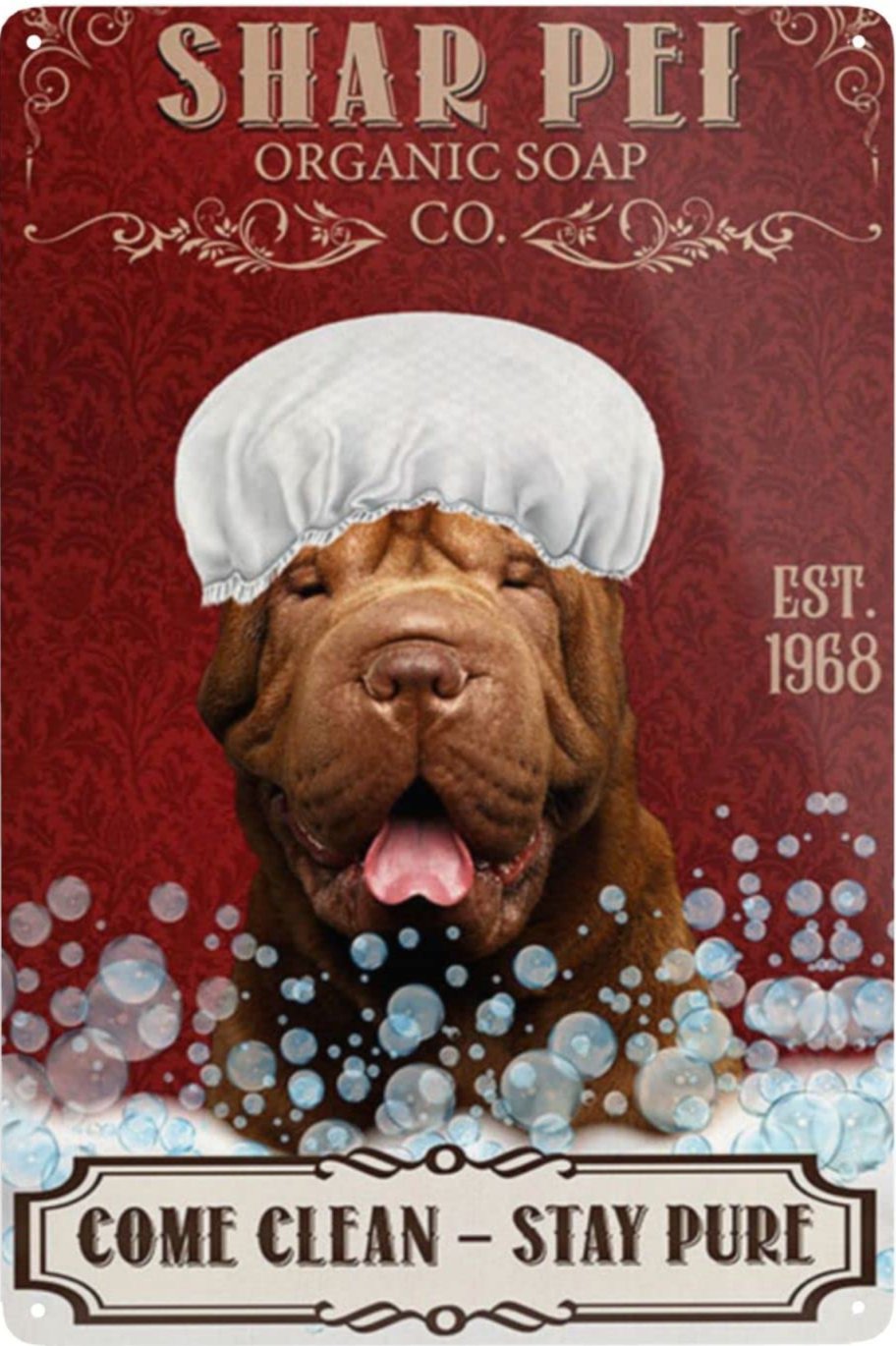 SHAR PEI Plaque métal décorative vintage