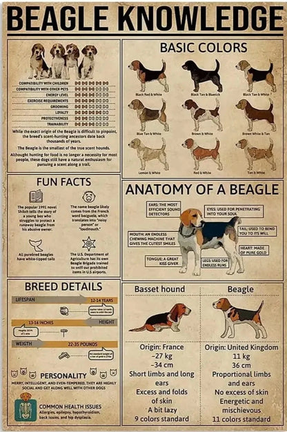 PLAQUE DECO BEAGLE KNOWLEDGE