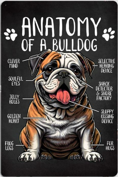 BULLDOG PLAQUE ANATOMY OF A BULLDOG