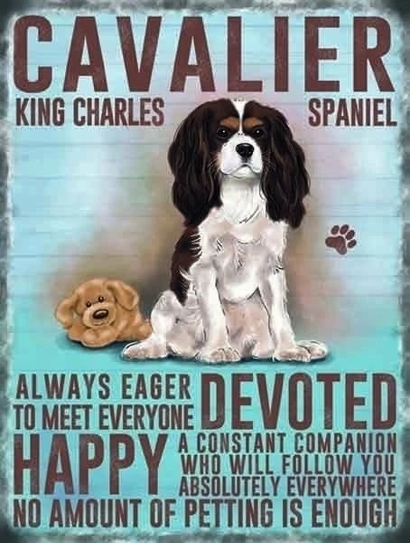 CAVALIER KING CHARLES PLAQUE 