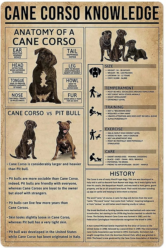 CANE CORSO Plaque métal KNOWLEDGE