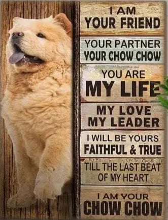 CHOW CHOW PLAQUE I AM YOUR FRIEND YOUR PARTNER YOUR CHOW CHOW