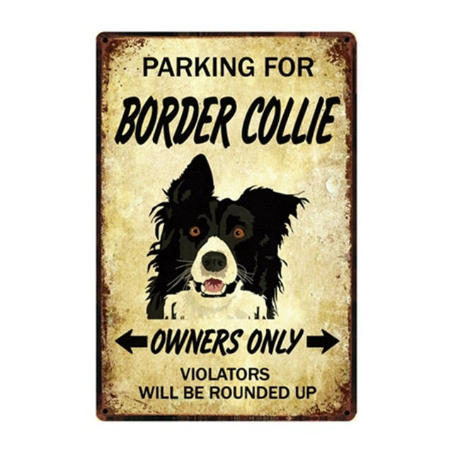 Plaque métal déco vintage 🐕  BORDER COLLIE N° 2 ✔