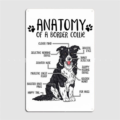 BORDER COLLIE PLAQUE ANATOMY OF BORDER COLLIE